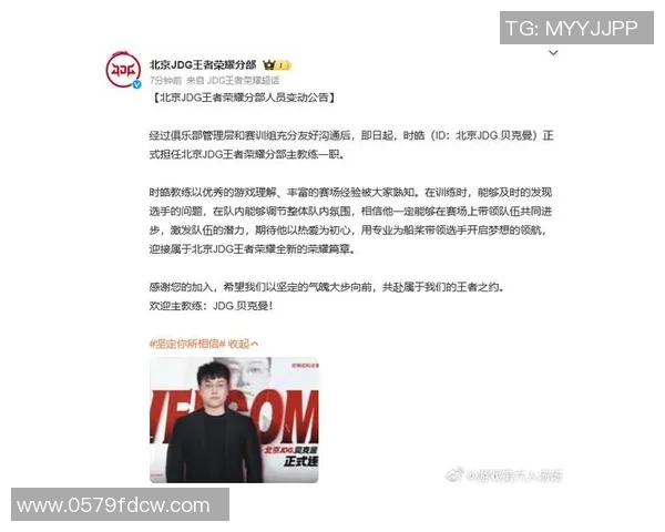 王者荣耀评论分析JDG战队防反策略的成败得失与未来展望