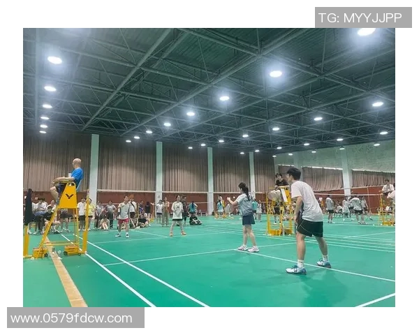 南京羽毛球队在联合会杯中的战术分析与表现评估